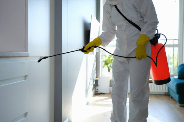 Best Residential Mold Remediation in Santa Cruz, CA