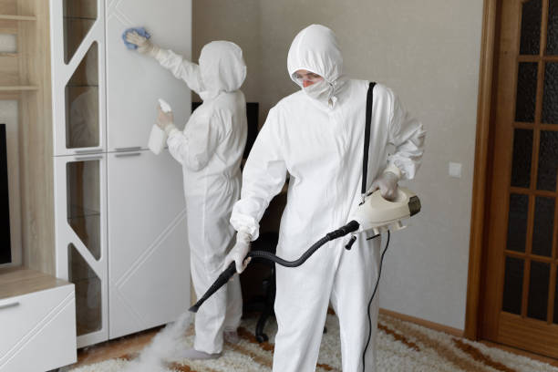 Best Crawl Space Mold Remediation in Santa Cruz, CA