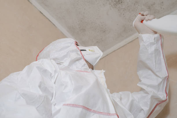 Best Crawl Space Mold Remediation in Santa Cruz, CA